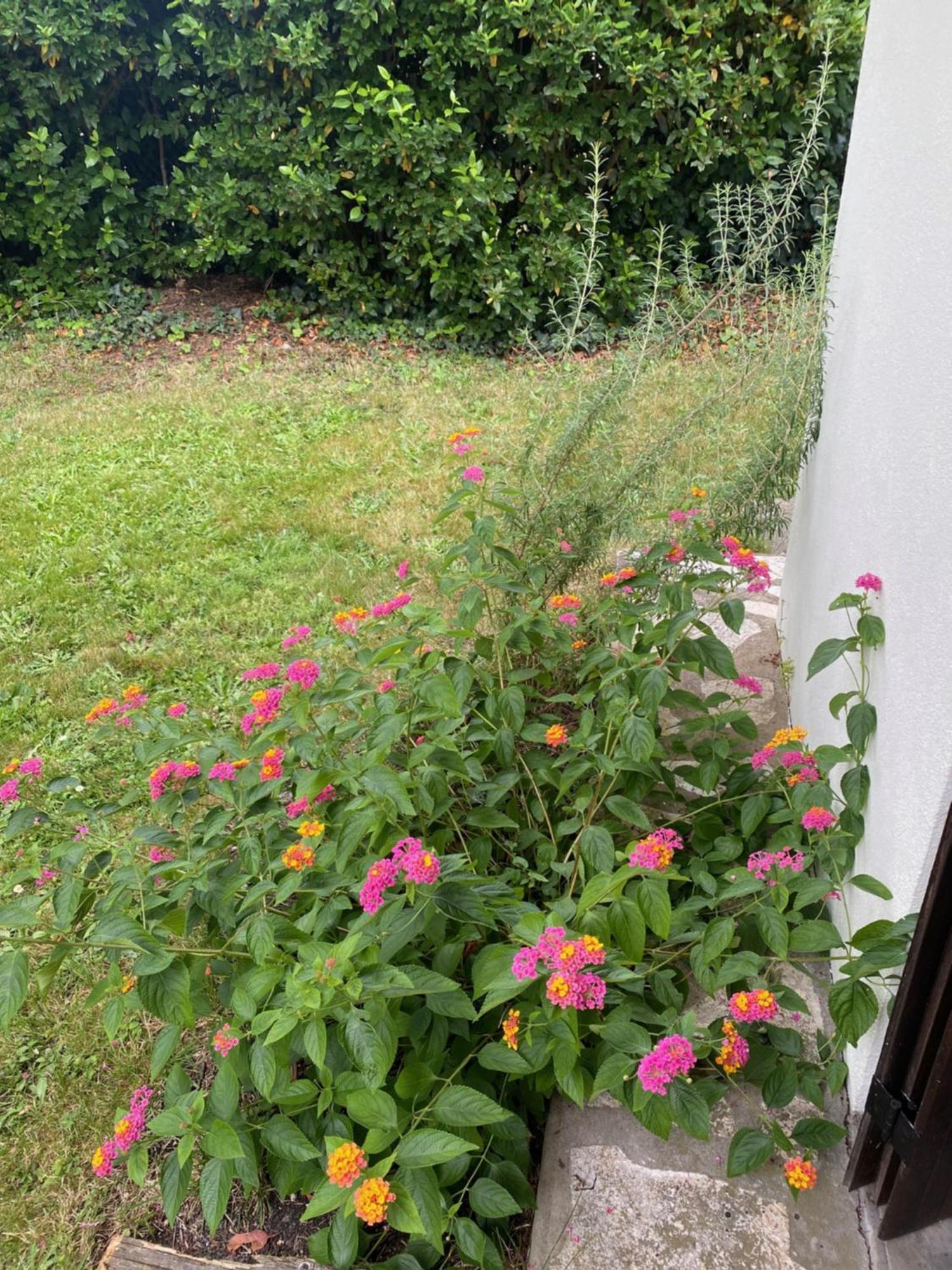 Appartement Avec Jardin Льо Порж Екстериор снимка